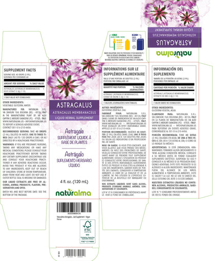 Naturalma Astragalus Root Alcohol-Free Tincture - 4 fl oz | Vegan Liquid Extract