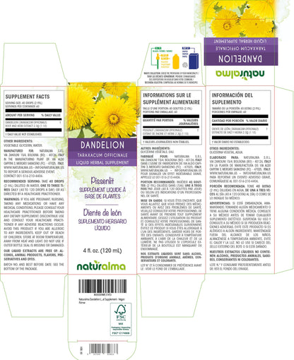 Naturalma Dandelion Tincture 4 oz - Alcohol-Free, Vegan