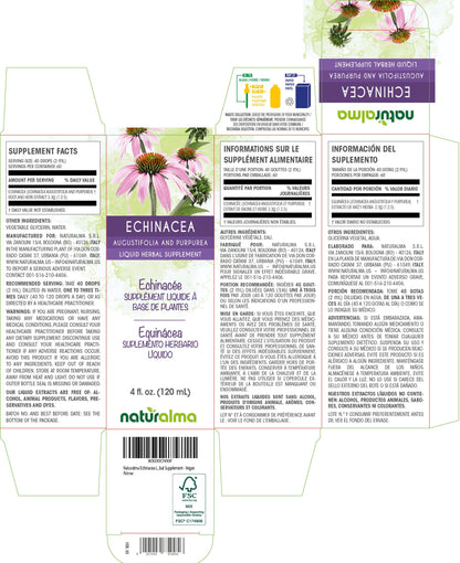 Naturalma Echinacea Alcohol-Free Tincture 4 oz | E. angustifolia & purpurea, Vegan