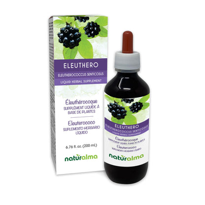 Naturalma Eleuthero Root Tincture 1:10 – Alcohol-Free, Vegan (6.76 fl oz)