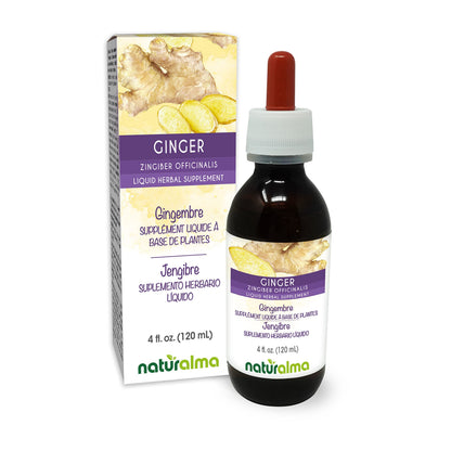 Naturalma Ginger Rhizome Tincture - Alcohol-Free, 4 fl oz Drops, Vegan Herbal Supplement