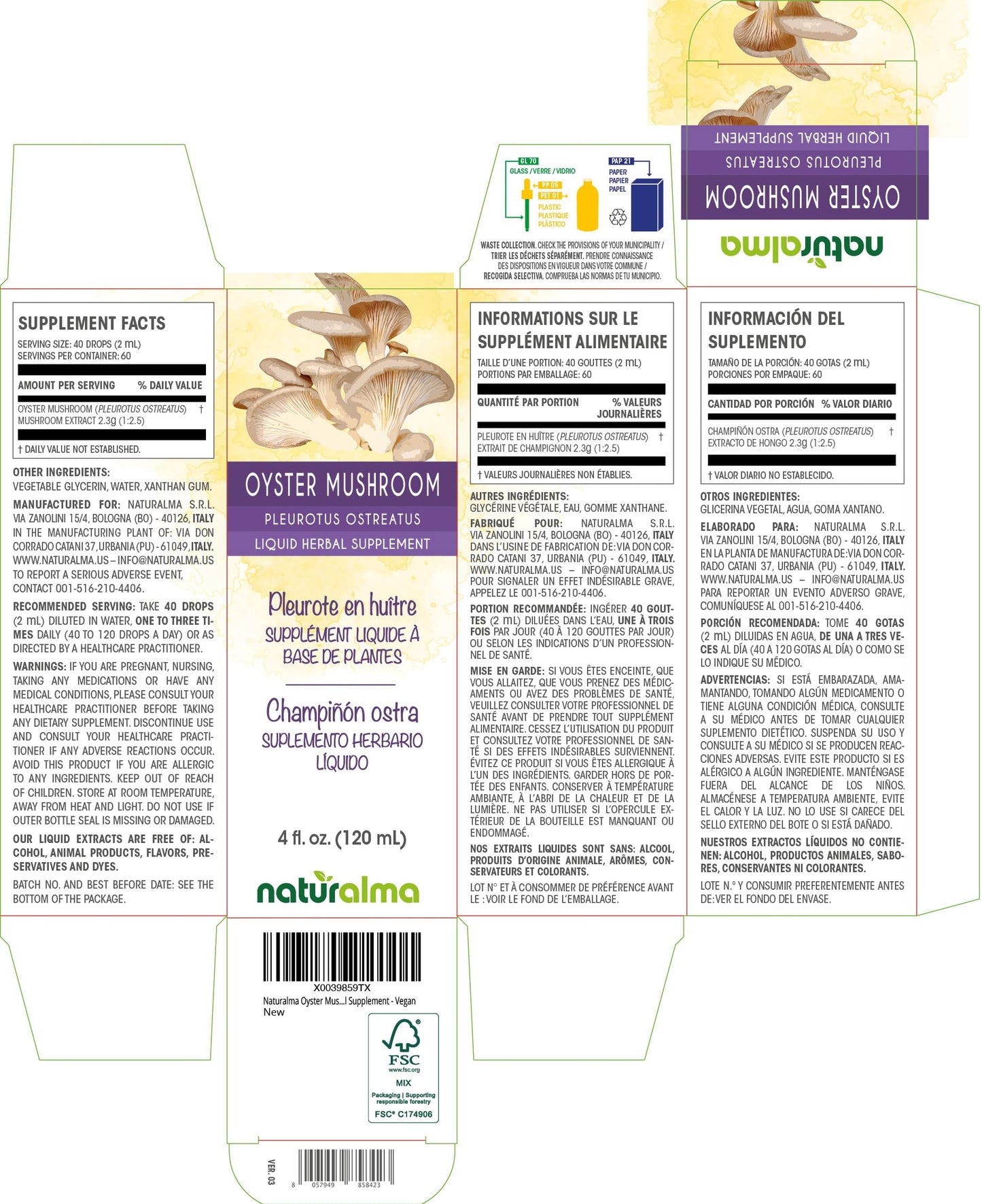 Naturalma Ginger Rhizome Tincture - Alcohol-Free, 4 fl oz Drops, Vegan Herbal Supplement