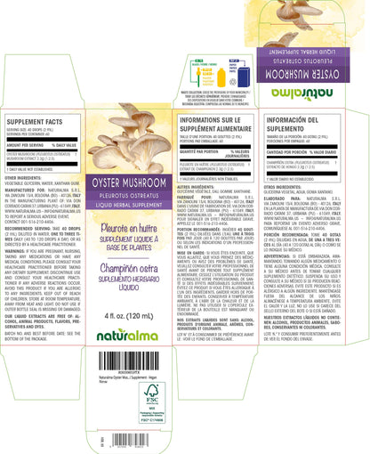 Naturalma Ginger Rhizome Tincture - Alcohol-Free, 4 fl oz Drops, Vegan Herbal Supplement