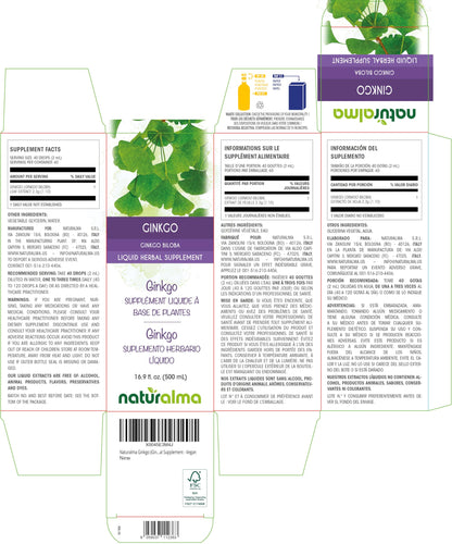 Naturalma Ginkgo Biloba Alcohol-Free Tincture — 16.9 fl oz Liquid Extract (Vegan)