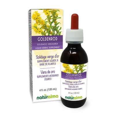 Naturalma Goldenrod Tincture (Solidago virgaurea) - 4 fl oz Alcohol-Free Drops | Vegan, Made in Italy