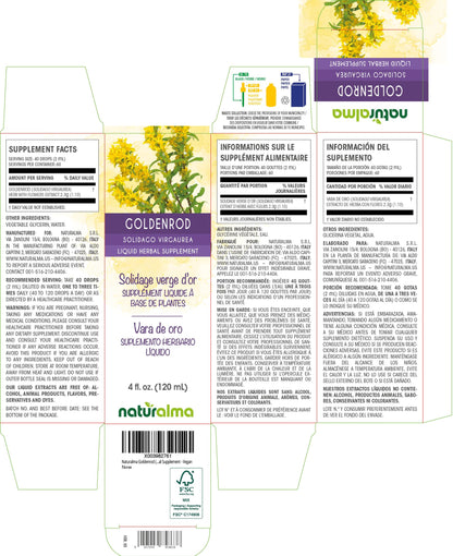 Naturalma Goldenrod Tincture (Solidago virgaurea) - 4 fl oz Alcohol-Free Drops | Vegan, Made in Italy
