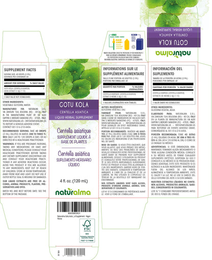 Naturalma Gotu Kola Tincture 4 oz – Alcohol-Free, Vegan Liquid Extract