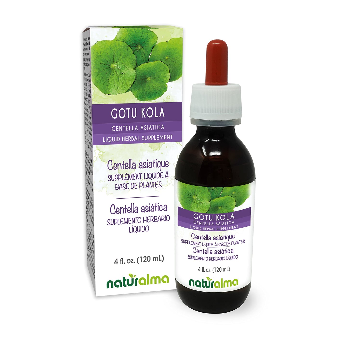 Naturalma Gotu Kola Tincture 4 oz – Alcohol-Free, Vegan Liquid Extract
