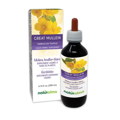 Naturalma Great Mullein Tincture 1:10 Alcohol-Free - 6.76 fl oz - Vegan