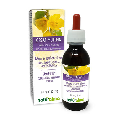 Naturalma Great Mullein Tincture (Verbascum thapsus) – Alcohol-Free, 4 fl oz, Vegan, Made in Italy