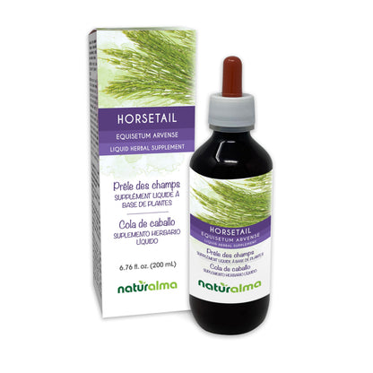 Naturalma Horsetail Tincture (Equisetum arvense) - Alcohol-Free, 6.76 fl oz | Vegan