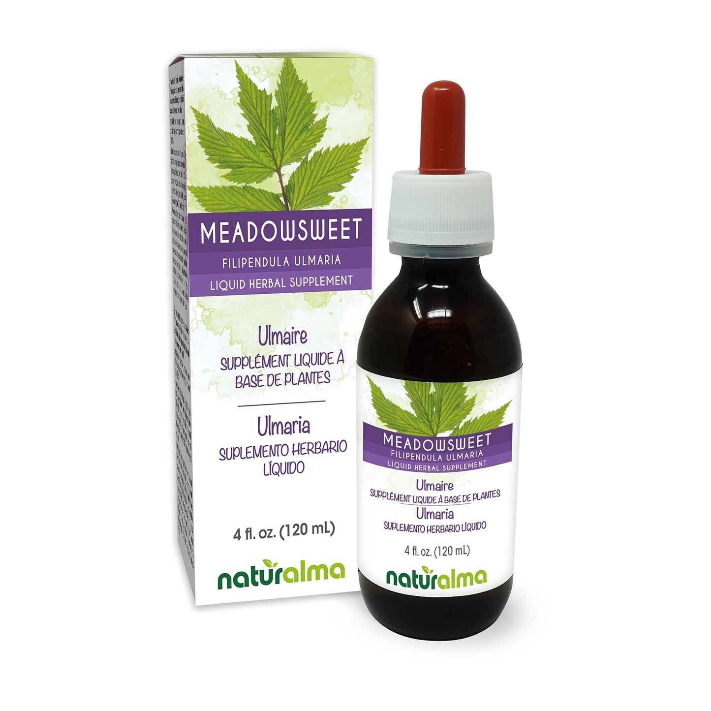 Naturalma Meadowsweet Flower Tincture - Alcohol-Free 4 oz Drops | Vegan