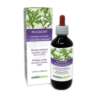 Naturalma Mugwort Tincture 1:10 | Alcohol-Free Drops, 6.76 fl oz – Vegan Herbal Supplement