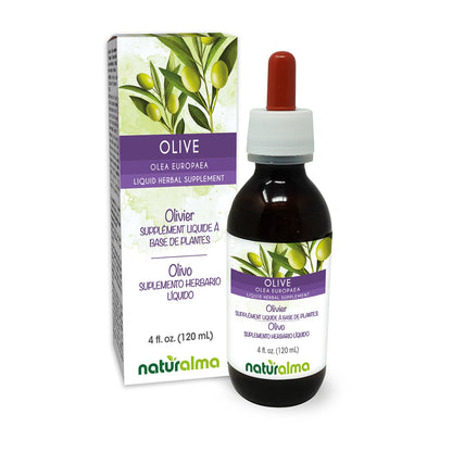 Naturalma Olive Leaf Alcohol-Free Tincture – 4 fl oz Drops | Vegan Herbal Supplement