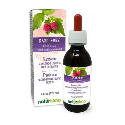 Naturalma Raspberry Leaf Tincture - Alcohol-Free, 4 fl oz Vegan Drops