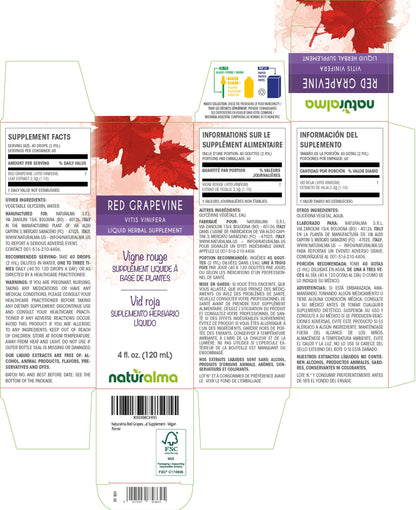 Naturalma Red Grapevine Leaf Tincture - Alcohol-Free Drops, 4 oz | Vegan, Made in Italy