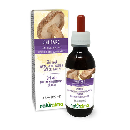 Naturalma Shiitake Tincture 4 fl oz – Alcohol-Free Mushroom Extract – Vegan – Product of Italy