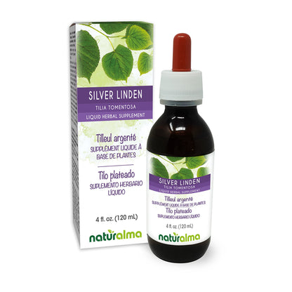 Silver Linden Tincture (Tilia tomentosa) - Alcohol-Free Drops (4 oz)