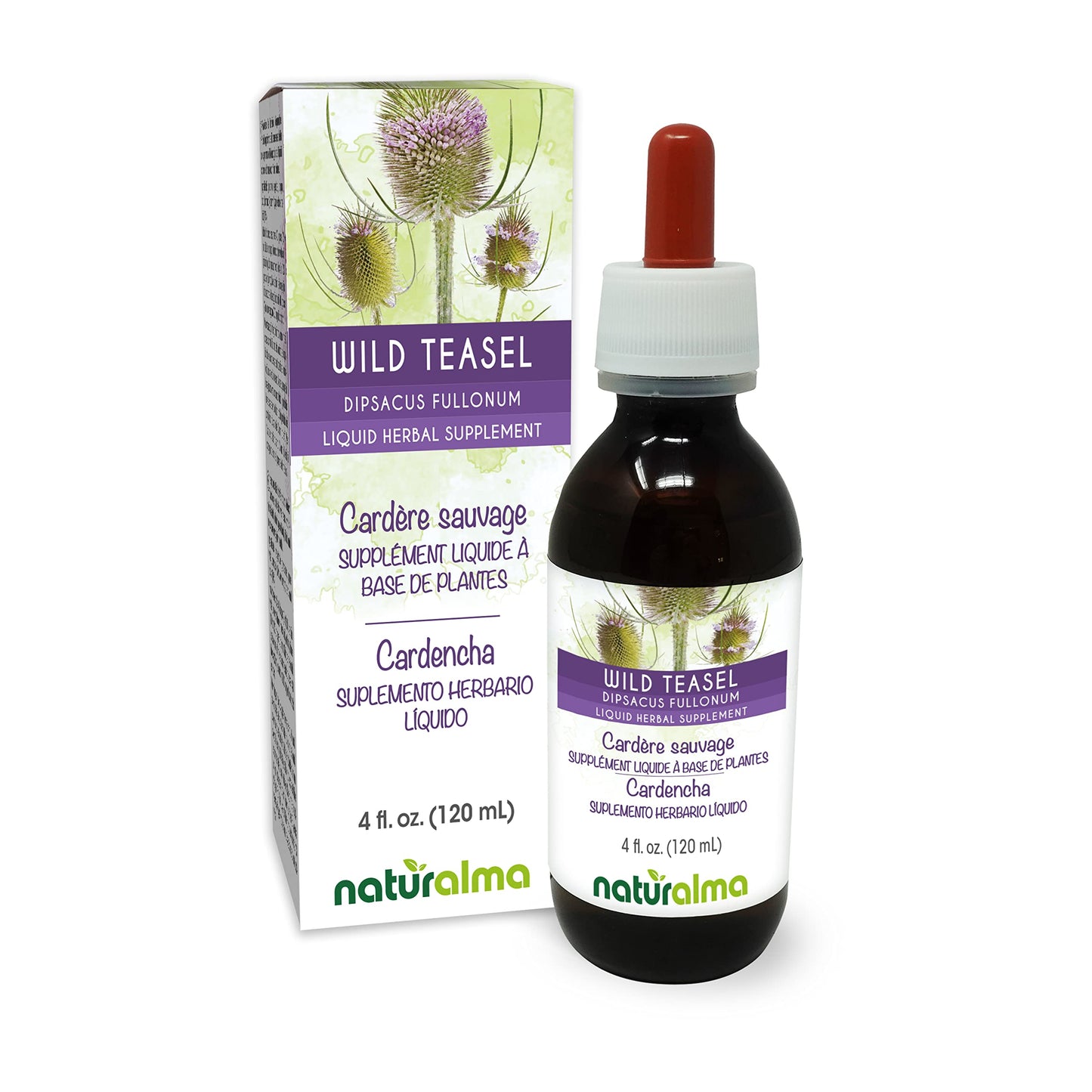 Naturalma Wild Teasel Root Tincture - Alcohol-Free 4 oz Drops | Vegan
