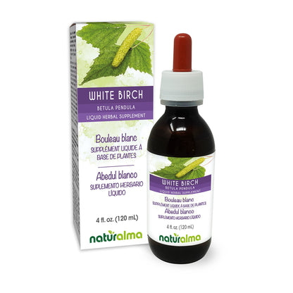 Naturalma White Birch Leaf Tincture – Alcohol-Free Drops, 4 fl oz | Vegan Herbal Supplement