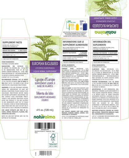 Naturalma European Bugleweed Tincture 4 oz – Alcohol-Free, Vegan