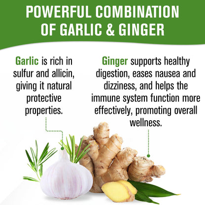 NaturalSlim Garligin Odorless Garlic with Ginger - Immune Support, Metabolism & Digestion - 100 Capsules