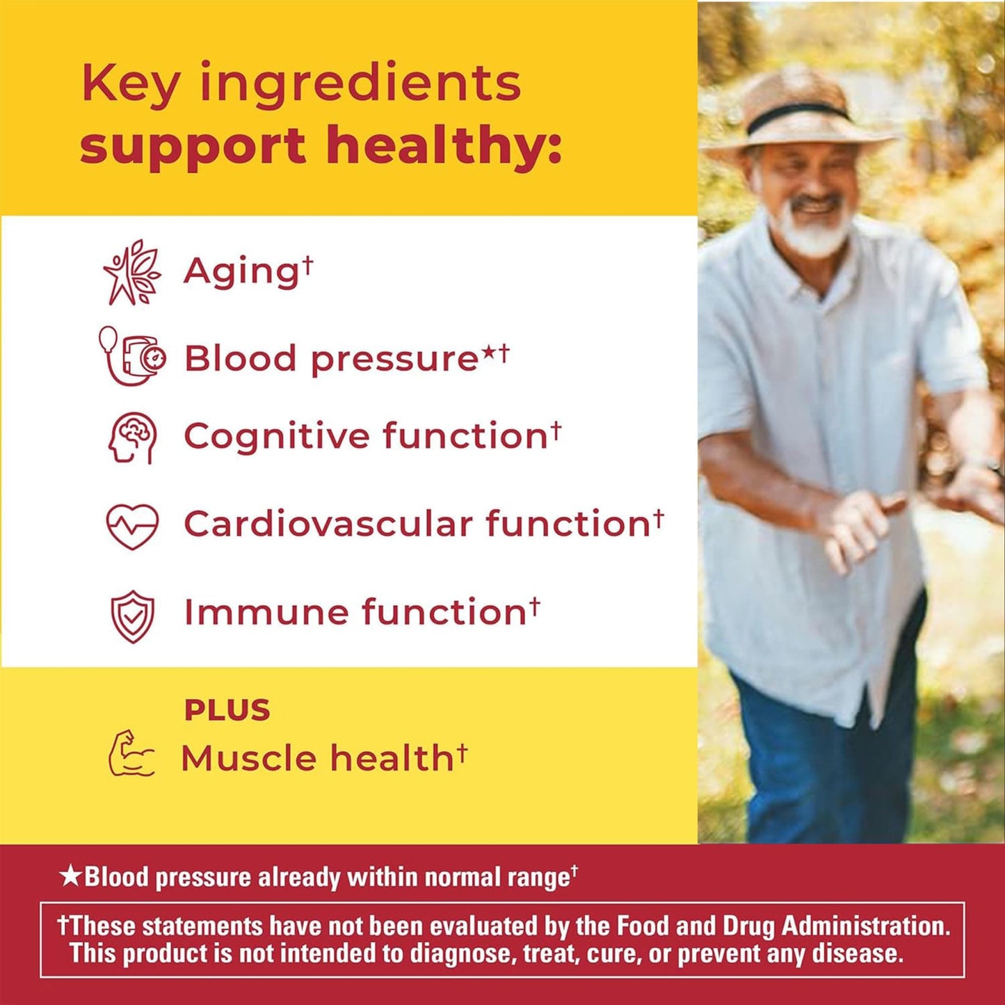 Nature Made Advanced Multivitamin Gummies 50+ for Him – 84-Count (28-Day) Men’s Gummies with Magnesium Citrate, Vitamin D3, Zinc