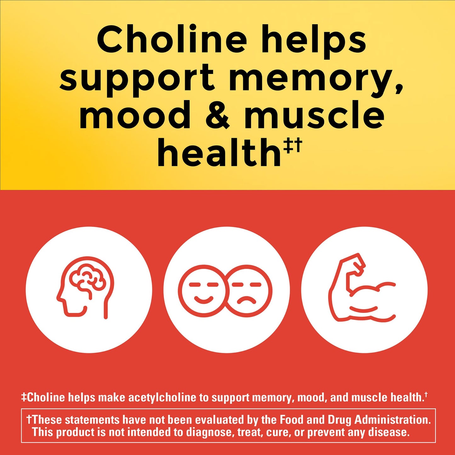 Nature Made Choline 800 mg – Brain Health, Mood & Liver Support | 60 Capsules