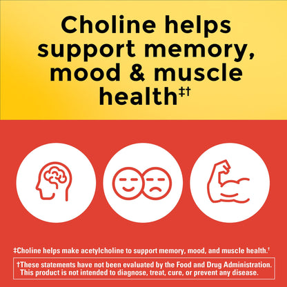 Nature Made Choline 800 mg – Brain Health, Mood & Liver Support | 60 Capsules
