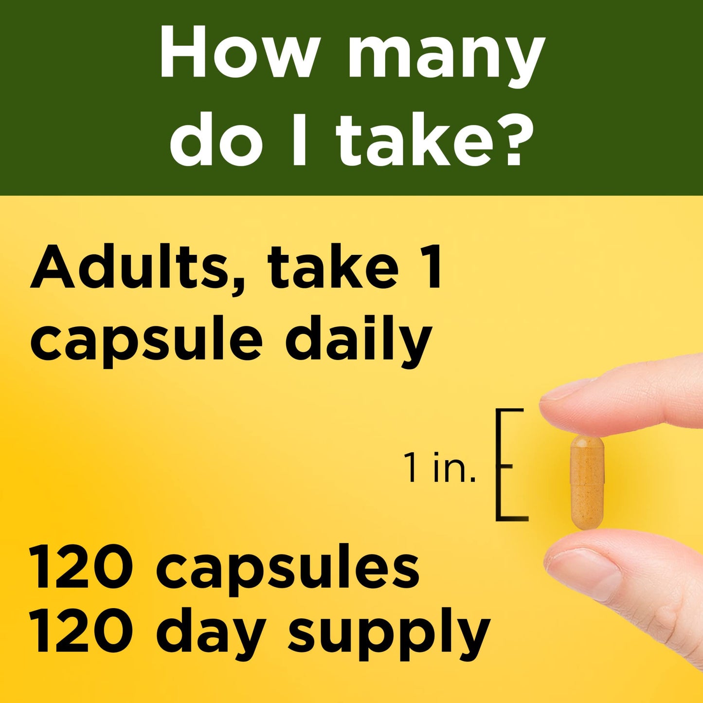 Nature Made Turmeric Curcumin 500 mg – Antioxidant Support, 120 Capsules