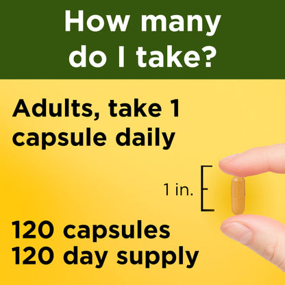 Nature Made Turmeric Curcumin 500 mg – Antioxidant Support, 120 Capsules