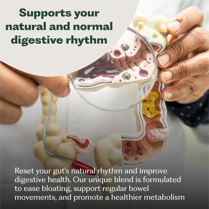 Nature M.D. GutRhythm Nighttime Recovery Overnight Digestive & Sleep Aid Supplement – Vegan 30 Servings