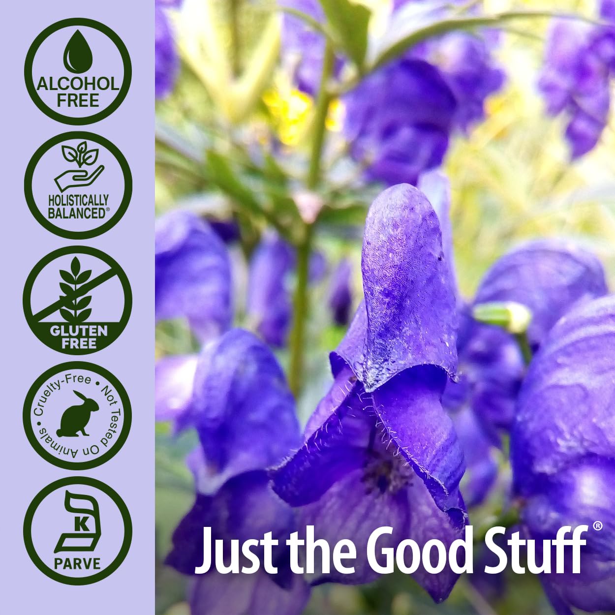 Nature's Answer Alcohol-Free Skullcap Herb - 1-Fluid Ounce
