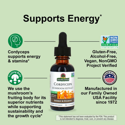 Cordyceps Mushroom Extract – Alcohol Free, 1 fl oz (30 ml) | 1,000 mg per Serving