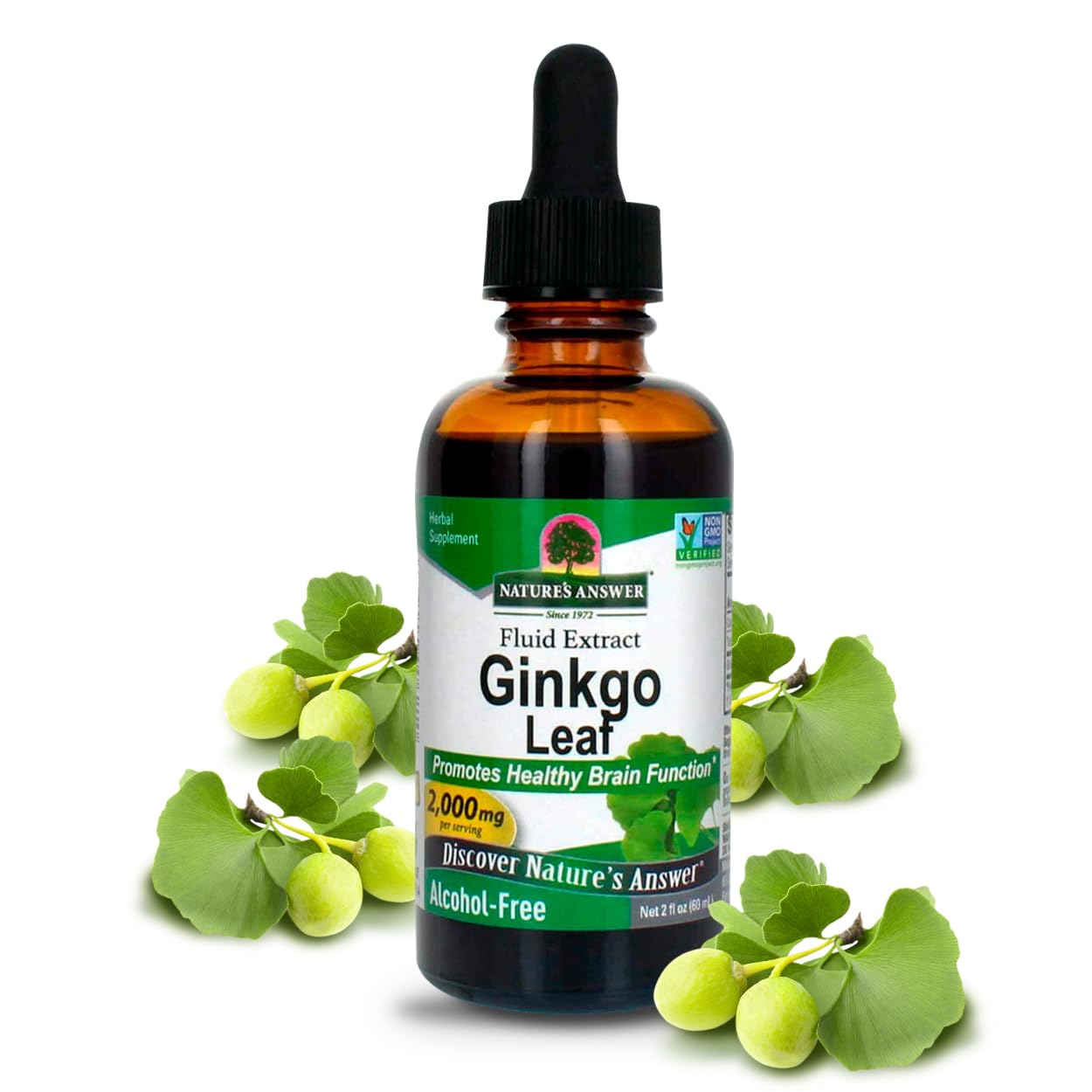 Nature's Answer Alcohol-Free Ginkgo Leaf Extract 2000mg (2oz) | Memory, Mood & Concentration Support | Gluten-Free & Kosher | Single Count