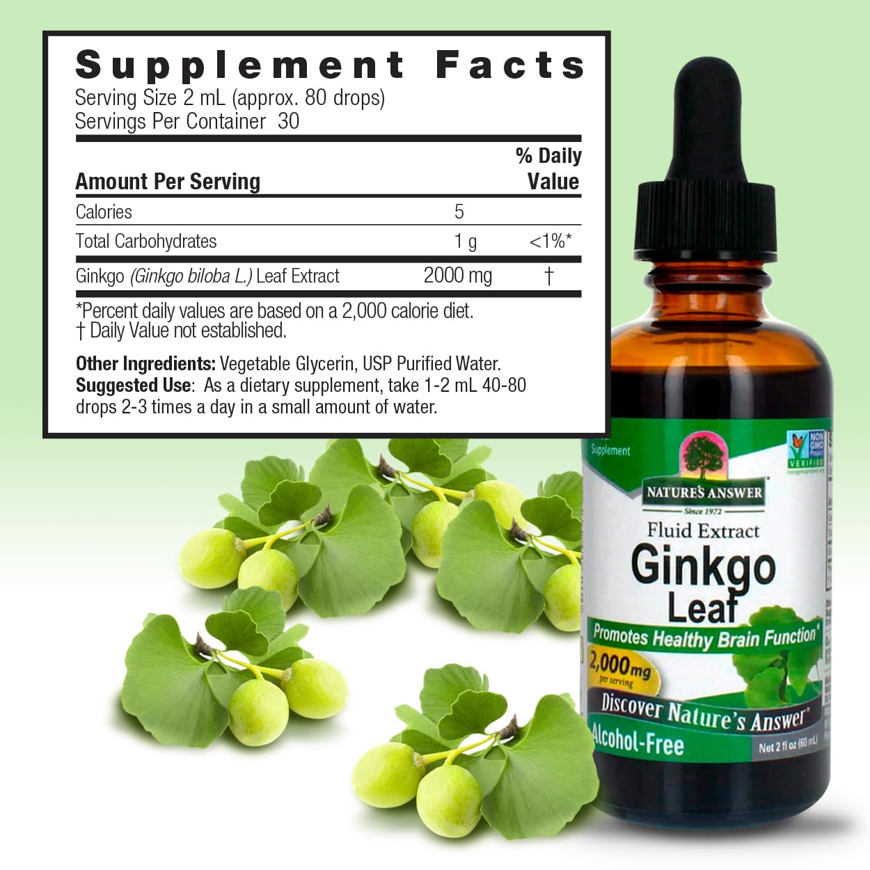 Nature's Answer Alcohol-Free Ginkgo Leaf Extract 2000mg (2oz) | Memory, Mood & Concentration Support | Gluten-Free & Kosher | Single Count