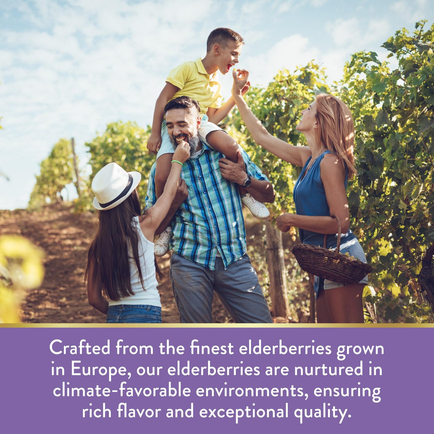 Nature's Truth Elderberry Immune Complex – 60 Chewables