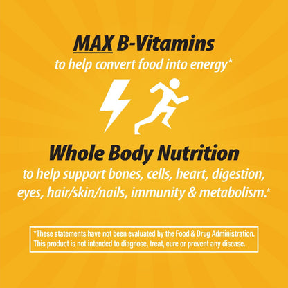 Nature's Way Alive! Max Potency Daily Multivitamin – Natural, 90 Count