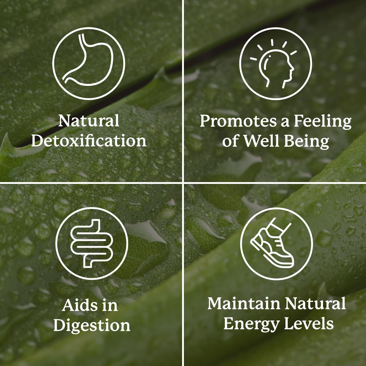 Nature's Sunshine Lower Bowel Stimulator - Gentle Herbal Support for Digestive Comfort | 100 Vegcaps