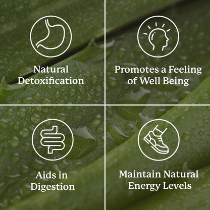 Nature's Sunshine Lower Bowel Stimulator - Gentle Herbal Support for Digestive Comfort | 100 Vegcaps