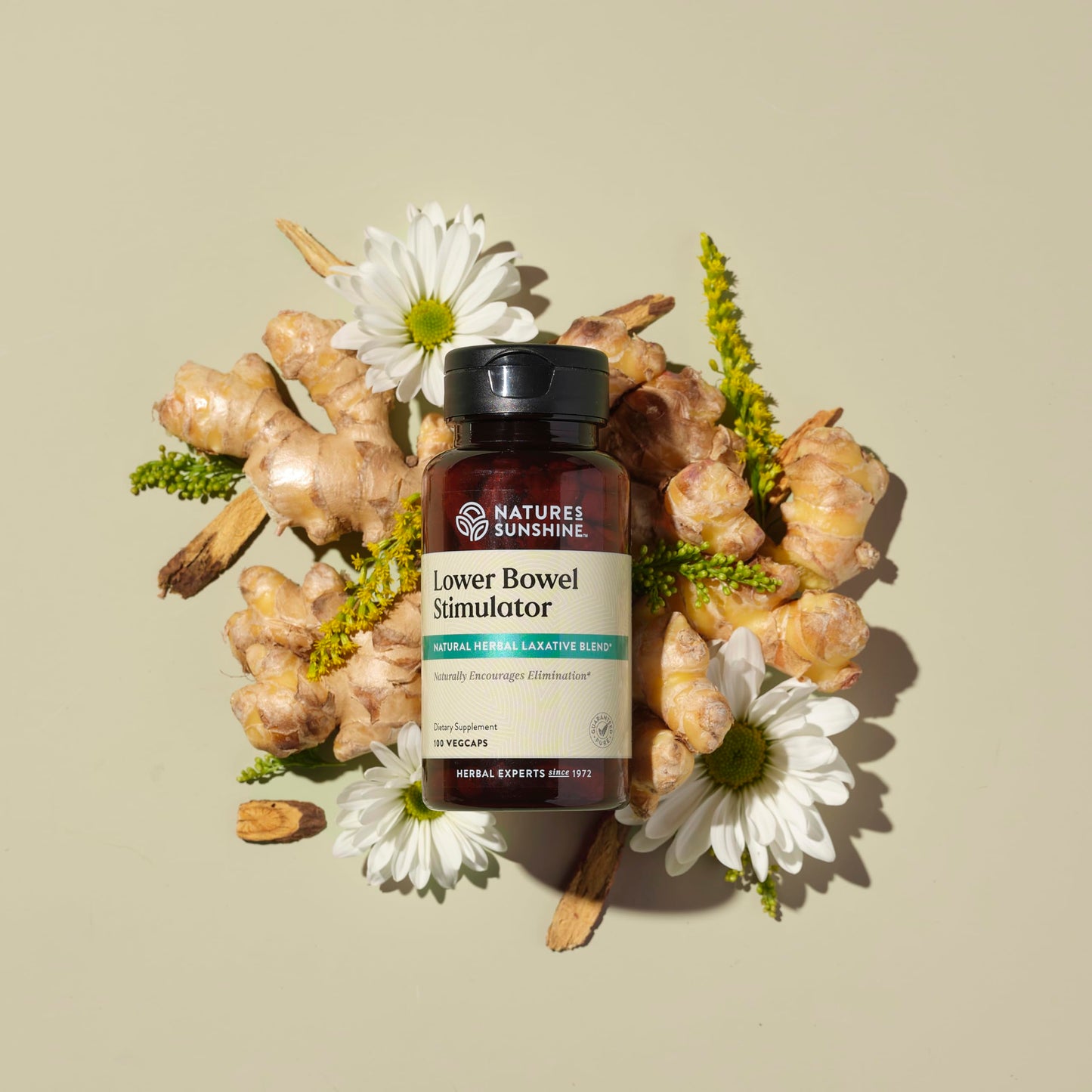 Nature's Sunshine Lower Bowel Stimulator - Gentle Herbal Support for Digestive Comfort | 100 Vegcaps
