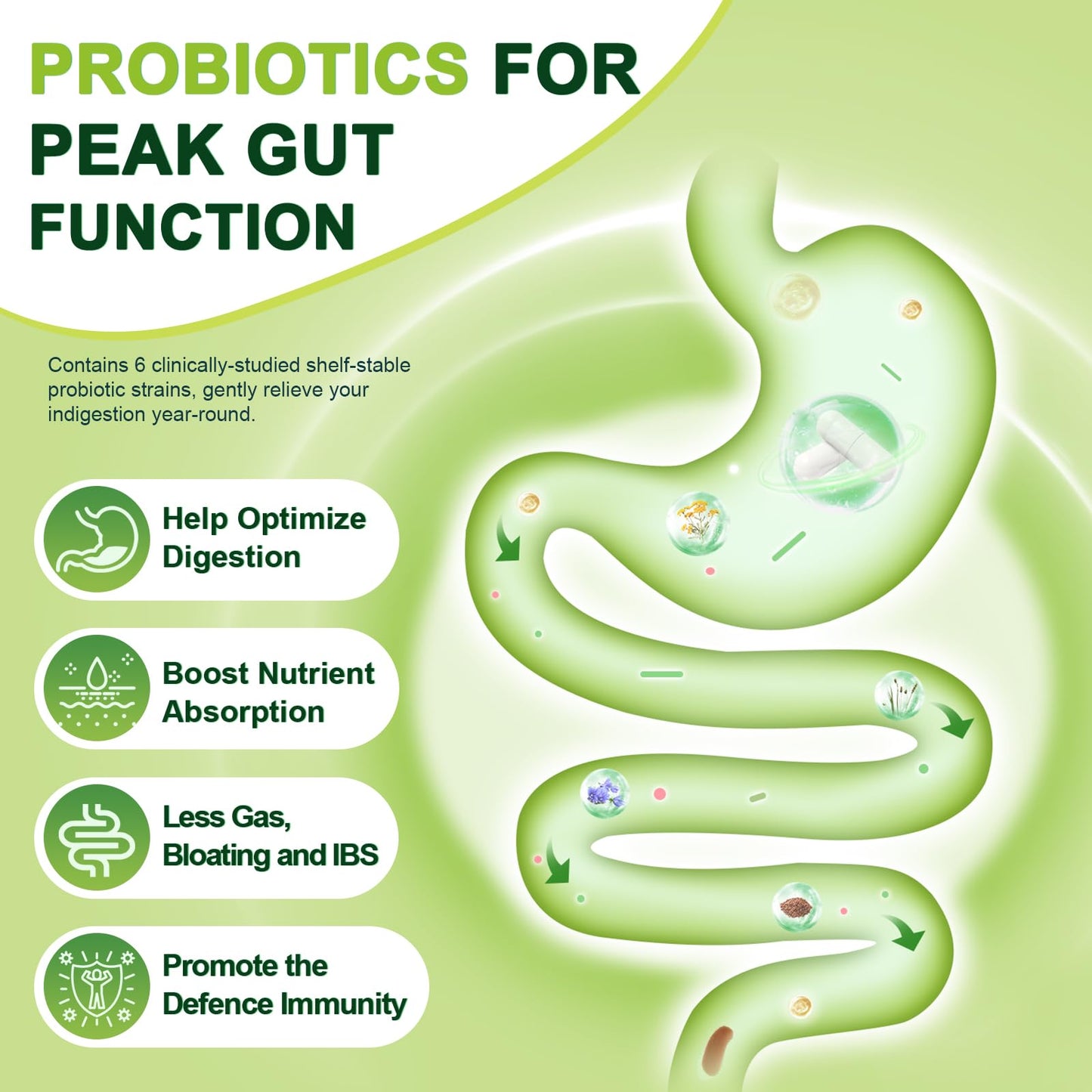 Nature Target Prebiotic Fiber + 60B Probiotics – Digestive Health