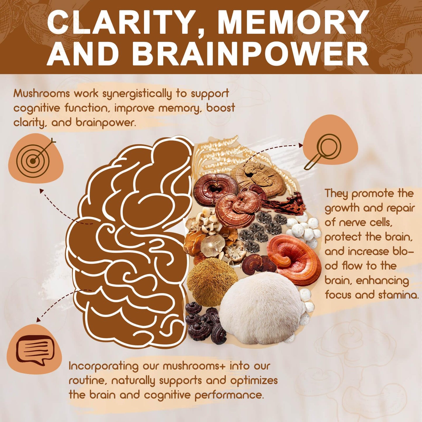 NATURE TARGET Mushroom Supplement, Mushroom Complex with Lion's Mane, Turkey Tail, Reishi, Cordyceps, Shiitake, 14-in-1 Mushrooms for Memory and Focus, 120 Capsules
