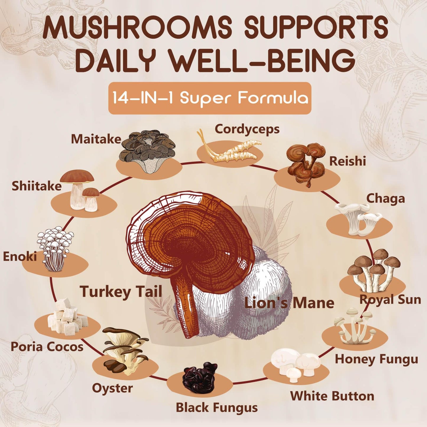 NATURE TARGET Mushroom Supplement, Mushroom Complex with Lion's Mane, Turkey Tail, Reishi, Cordyceps, Shiitake, 14-in-1 Mushrooms for Memory and Focus, 120 Capsules