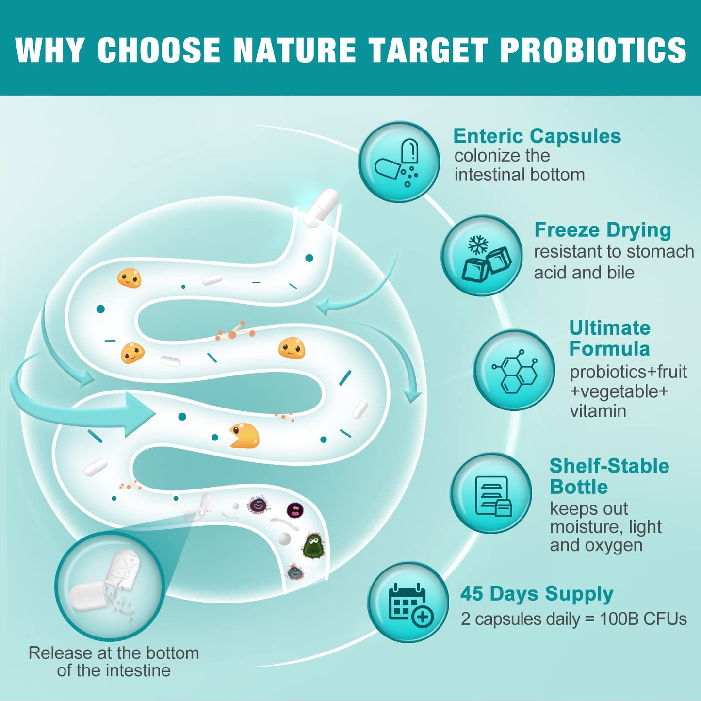 Nature Target Probiotics for Women & Men - 100B CFU, 45 Days