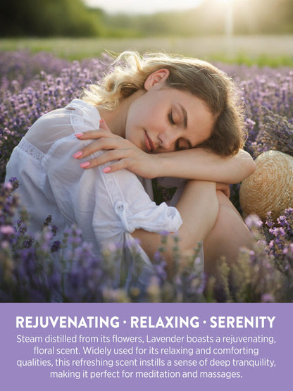 Nature's Truth Aromatherapy Lavender Essential Oil - 15 mL