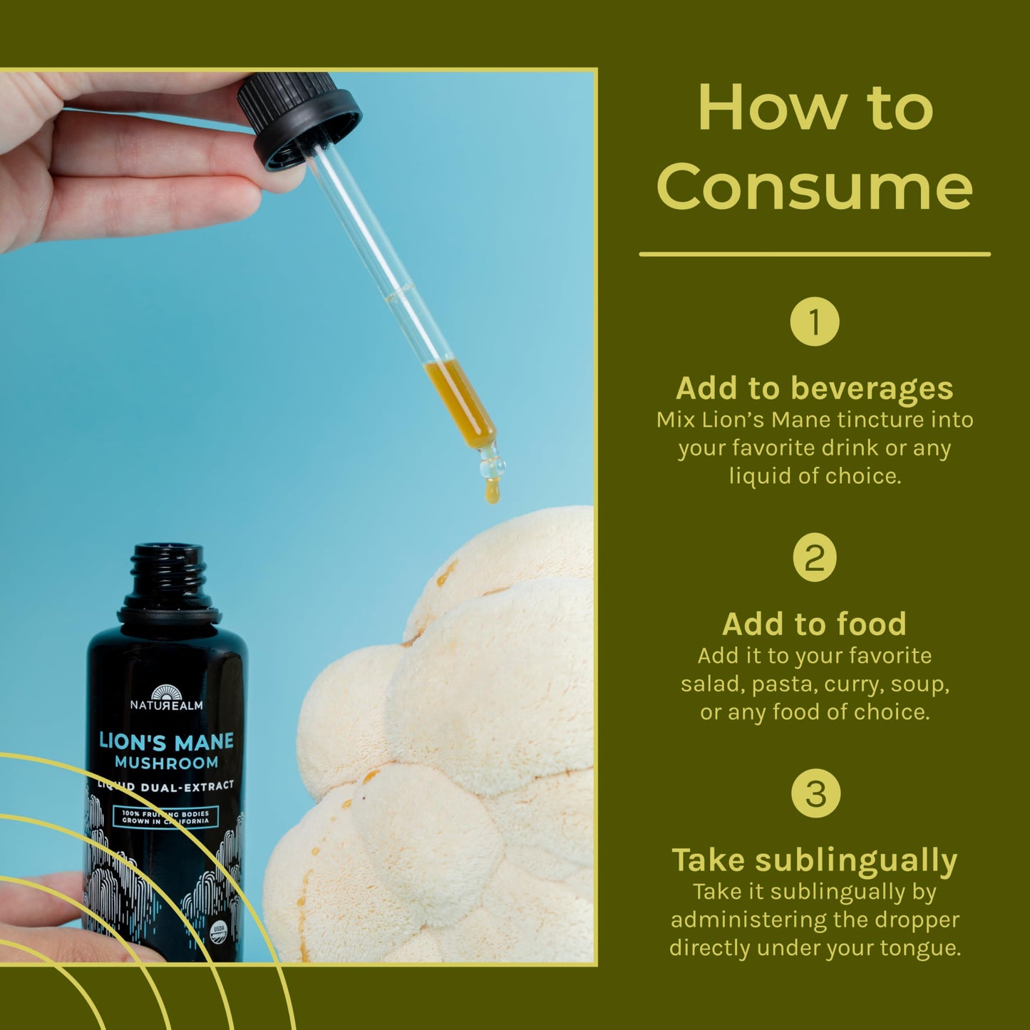 Naturealm Lion's Mane Mushroom Liquid Tincture – Focus, Memory & Brain Health | Vegan, Non-GMO