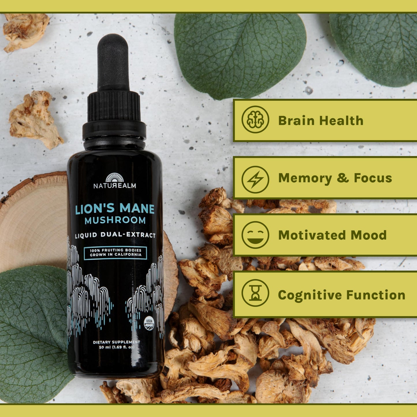 Naturealm Lion's Mane Mushroom Liquid Tincture – Focus, Memory & Brain Health | Vegan, Non-GMO