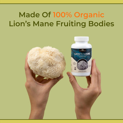 Naturealm Lions Mane Mushroom Supplement – Organic Brain Support, Focus & Memory | 90 Vegetarian Capsules