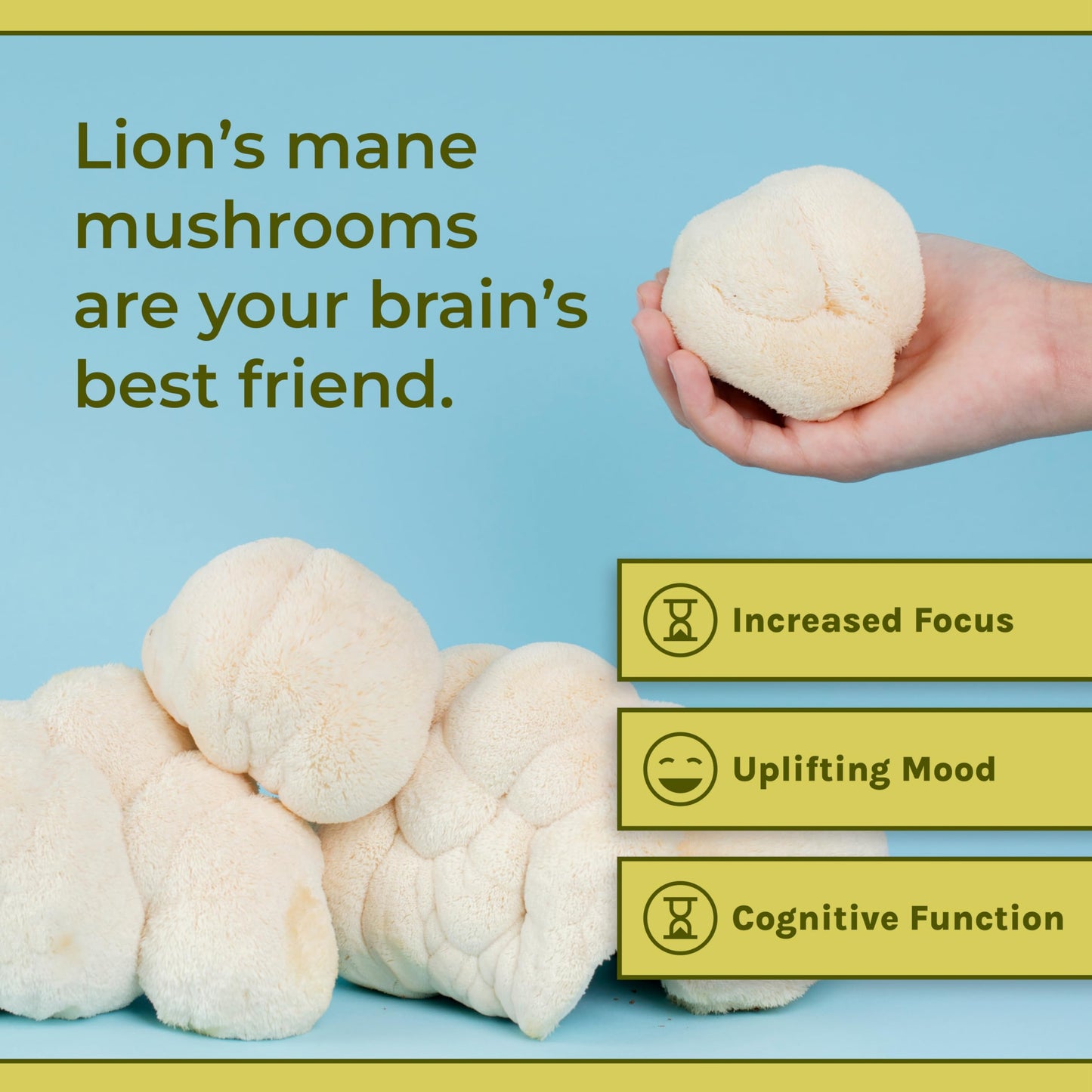 Naturealm Lion's Mane Mushroom Powder – Organic Brain Support, Focus & Memory – 60 Servings – Non-GMO